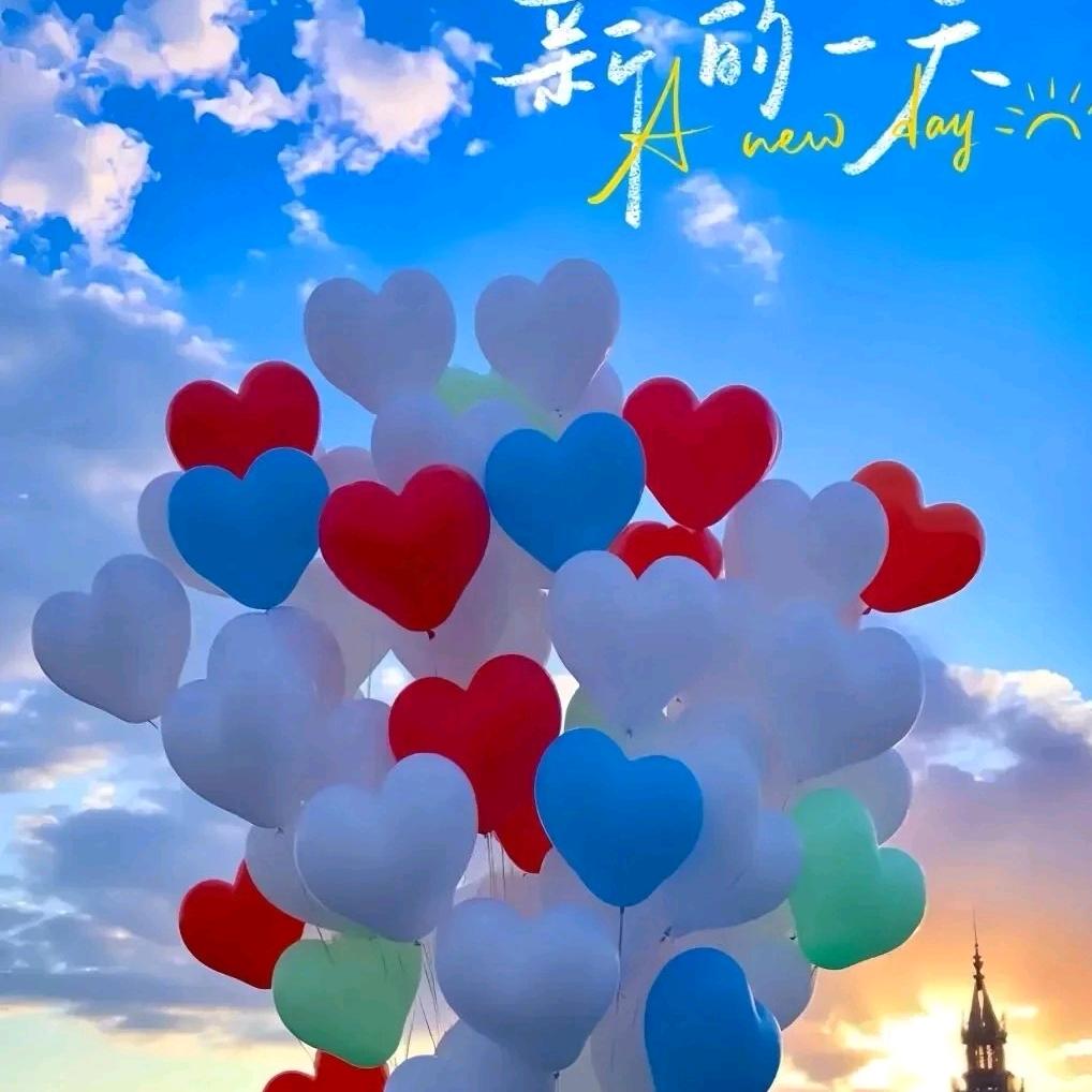 鸟专家