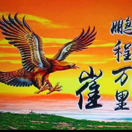 鹰无双