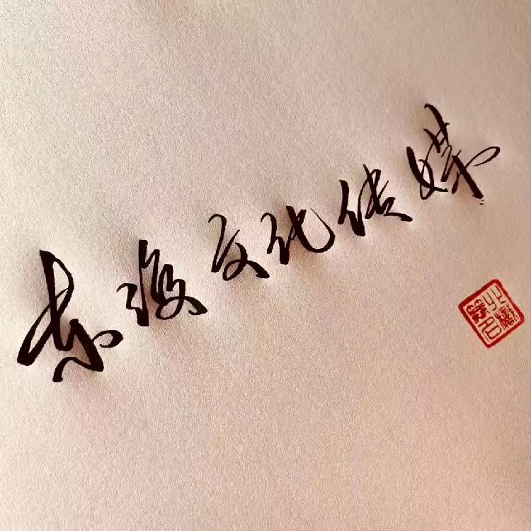 🎶小陆🎶新媒体运营