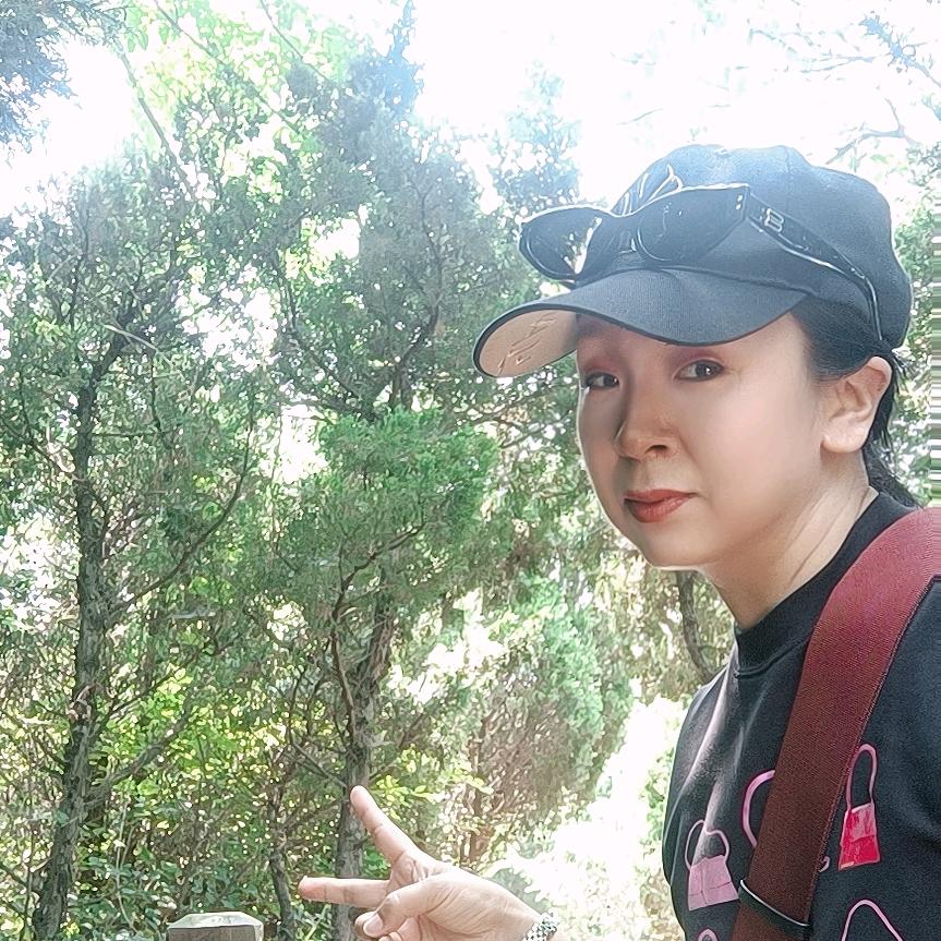 兰西亚峰乔姐团券