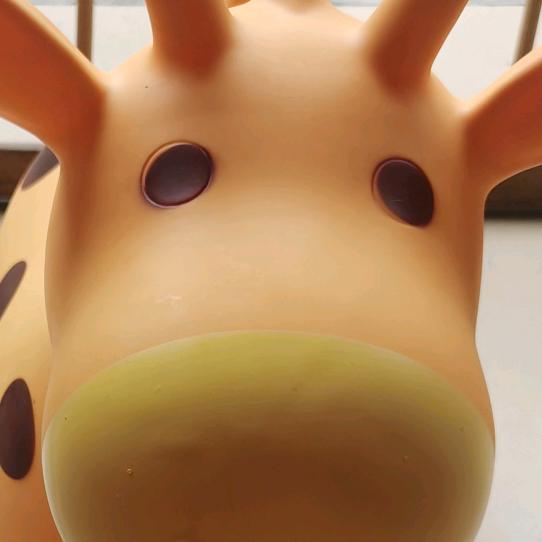 🌈小牛的牛牛牛