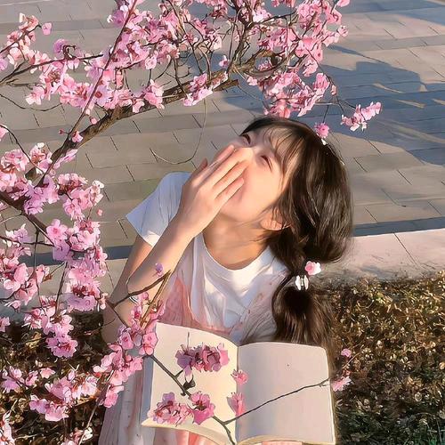 昭君影视