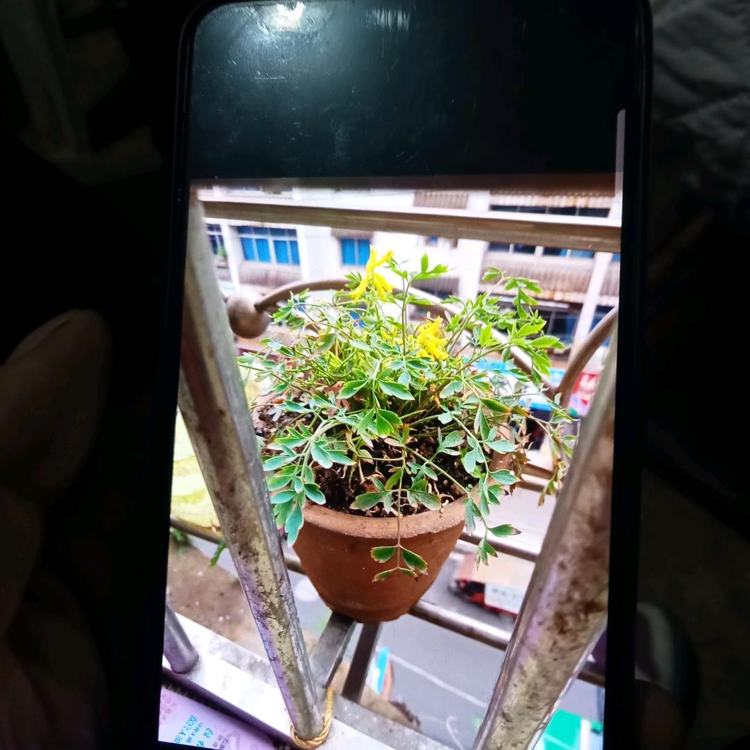 聂中美