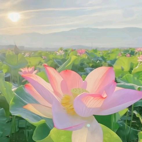 开心每一天💐