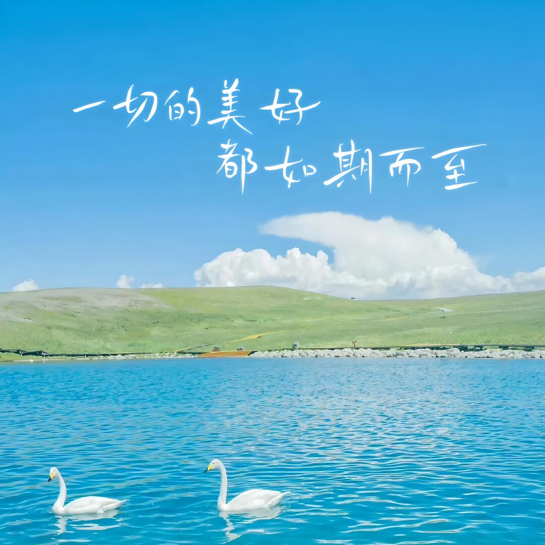 明媚的阳光