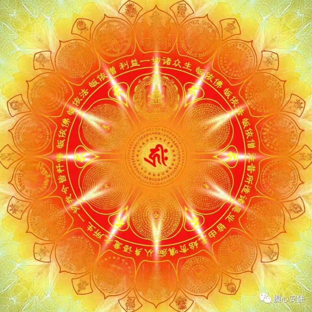 上善良品好物分享