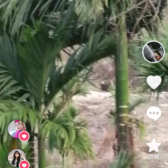 我的未来不是梦