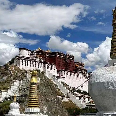 越努力越幸运974👊