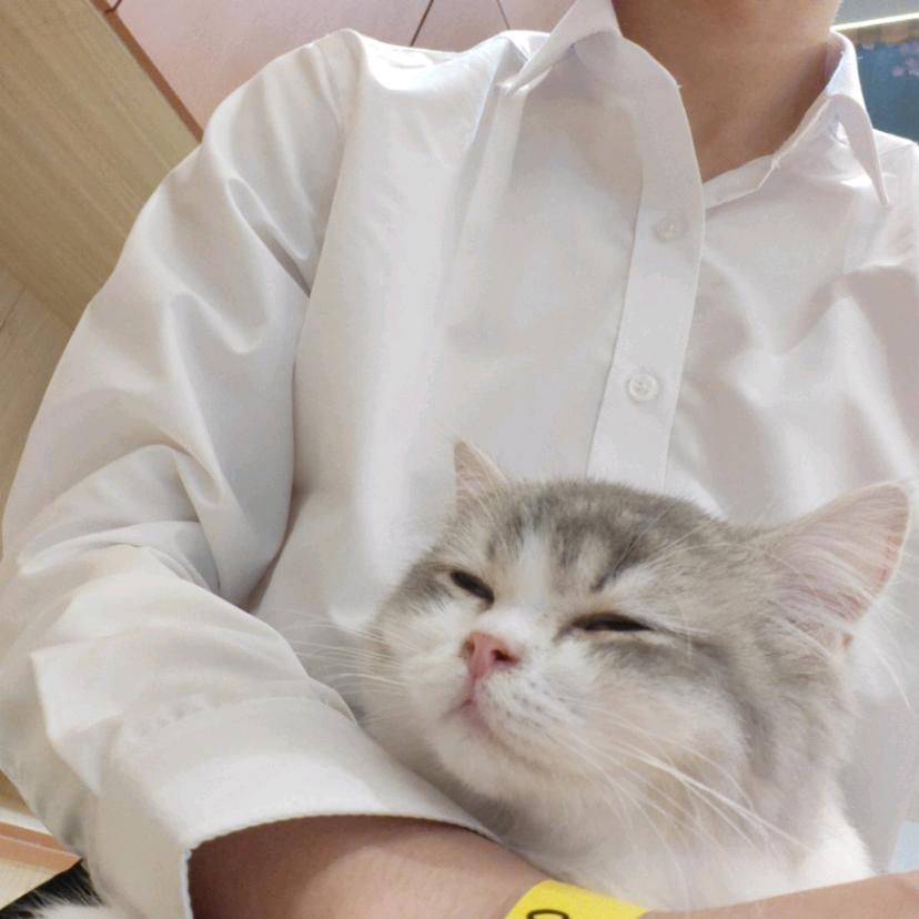 藕