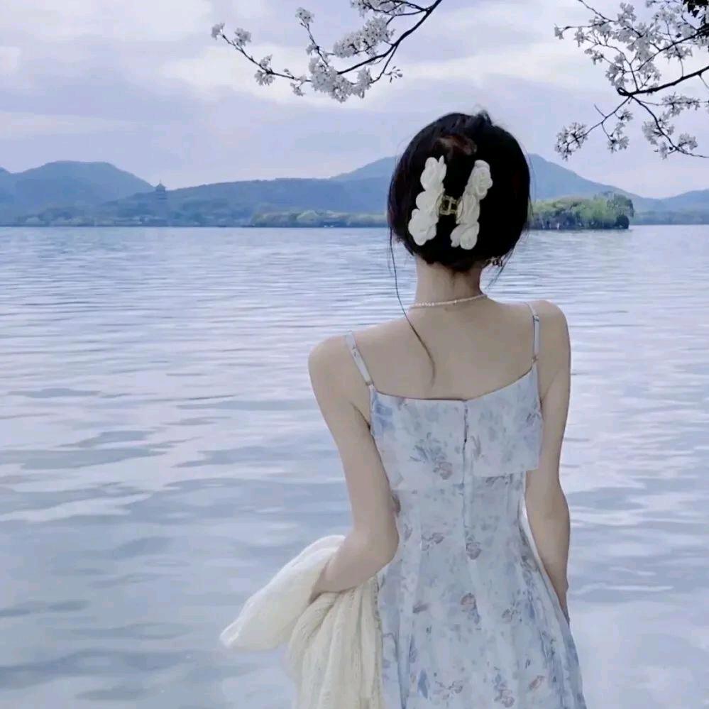 朝阳花