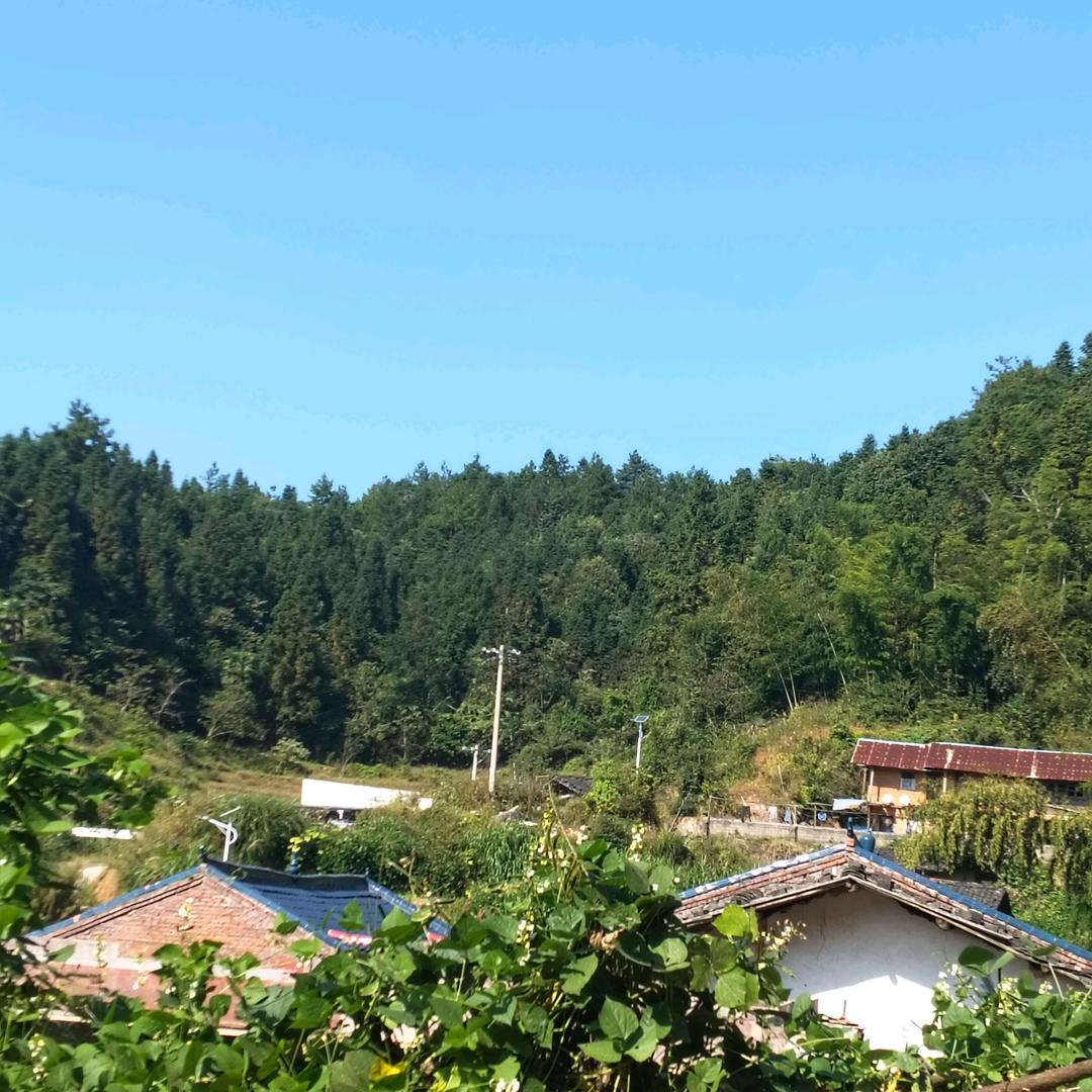 时光匆匆把岁月，青春带走