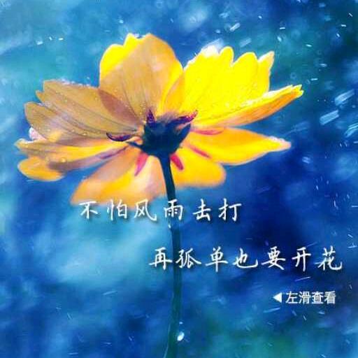 春暖花开头像