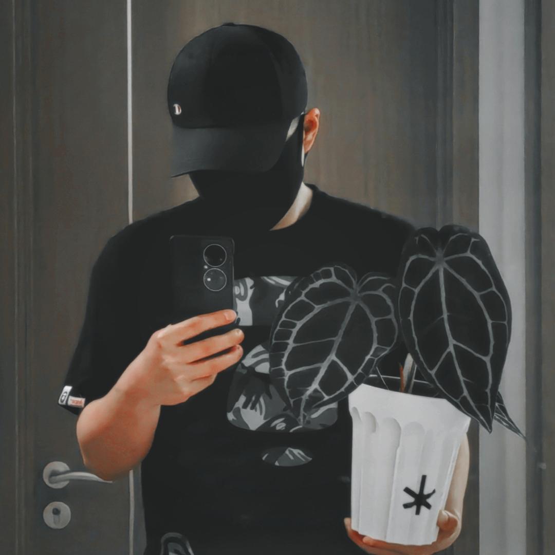 勇敢的橙子🍊
