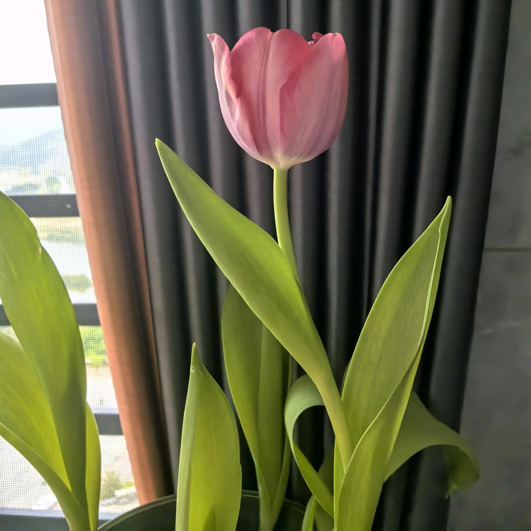 精致生活家