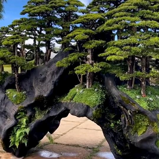 鄂粤园林盆景甄选的头像