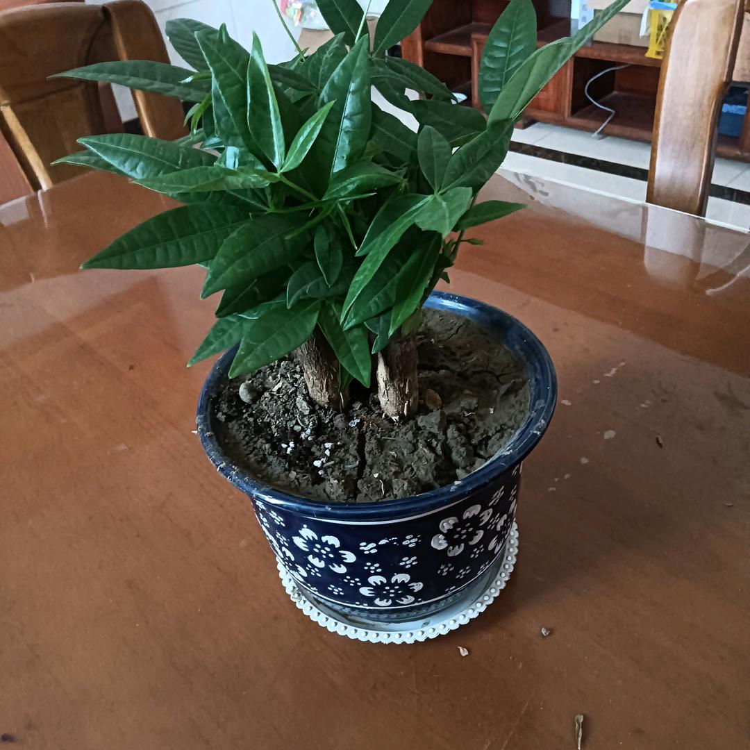 和颜悦色
