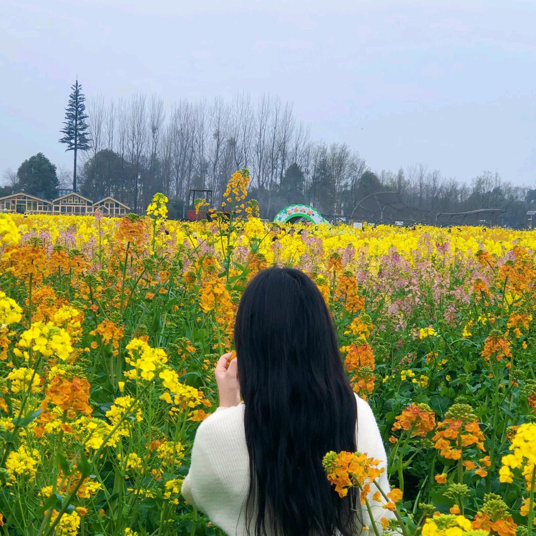 人间烟火🌻