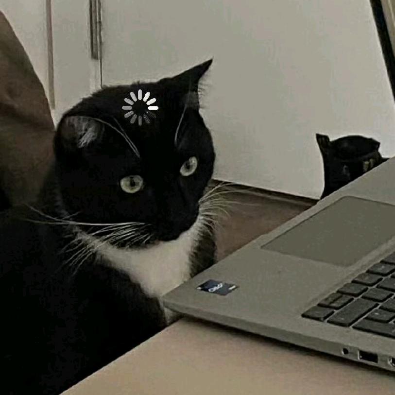 绛洞花王