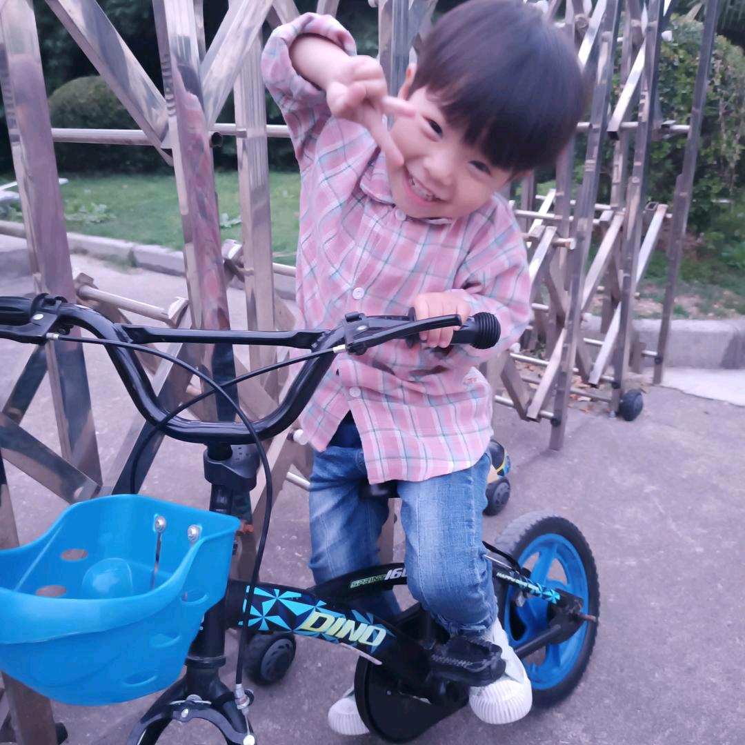 焦家小千金