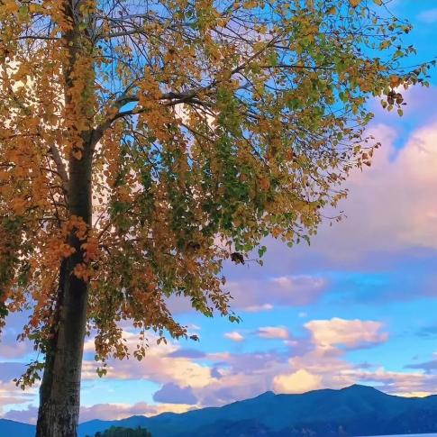 多看看美好世界