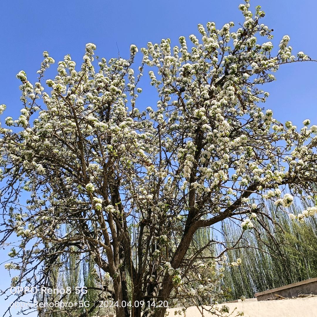 😎😎无名 xax😎😎