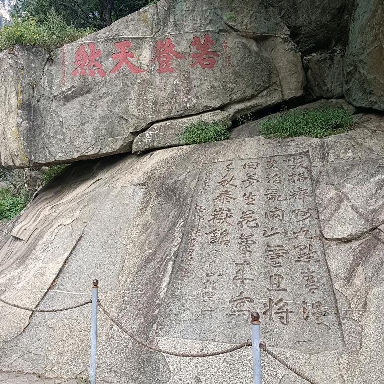 逆风翻盘
