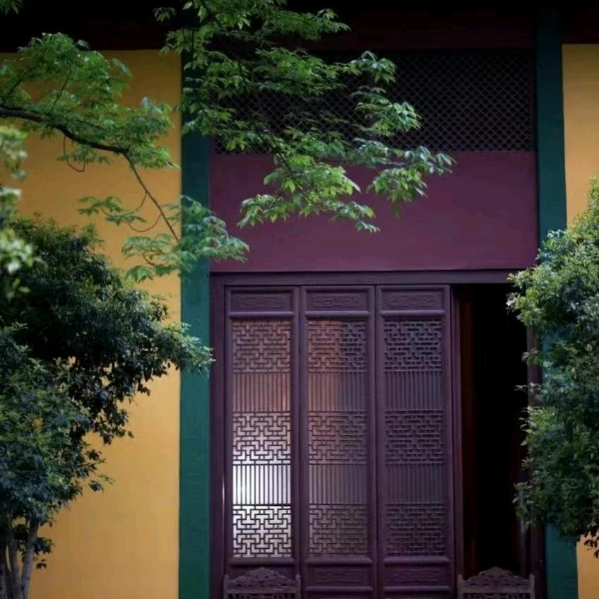 Macau Golden Teal