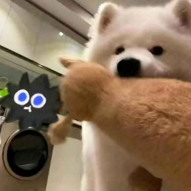 fi