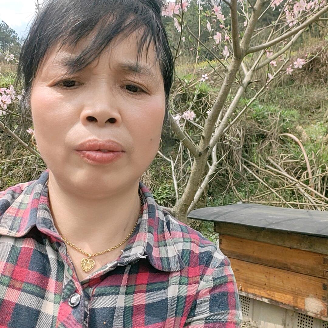 看牛向姐