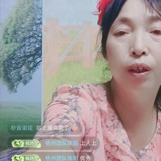 枫叶姐