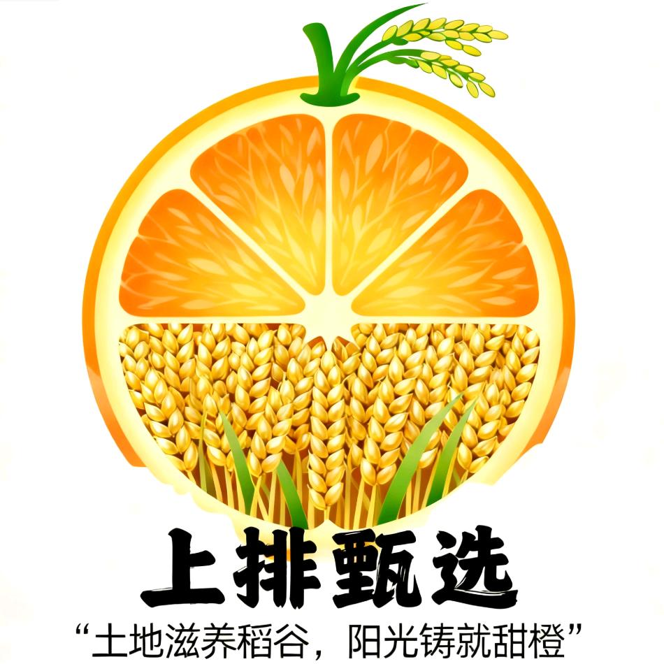 上排甄选脐橙
