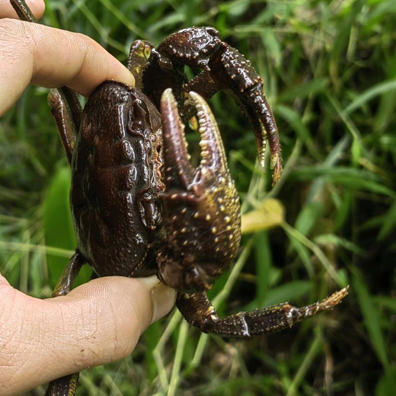 @小尤的牛马人生