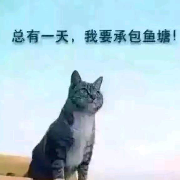 @6彩神嘢