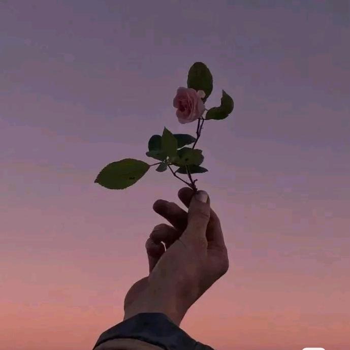 是汐汐呀🌷