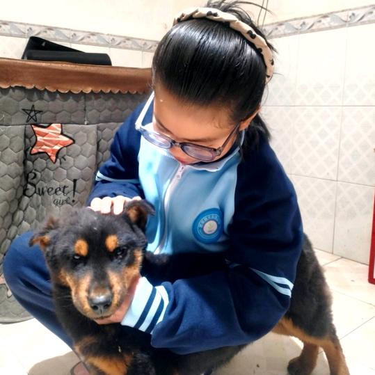 小主人说算了