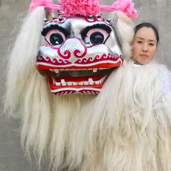 河南濮阳红振舞狮杂技团