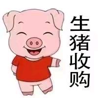 生猪购销－刘明江