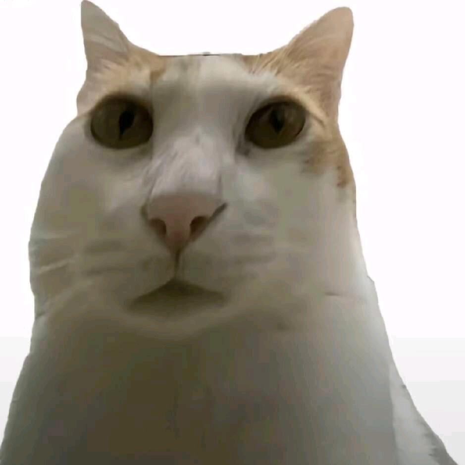 果粒程