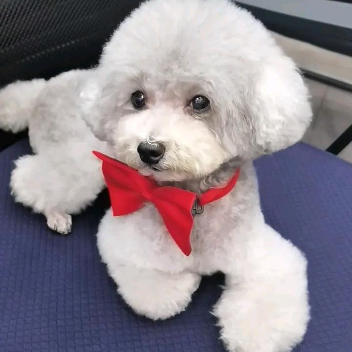 遥见日月