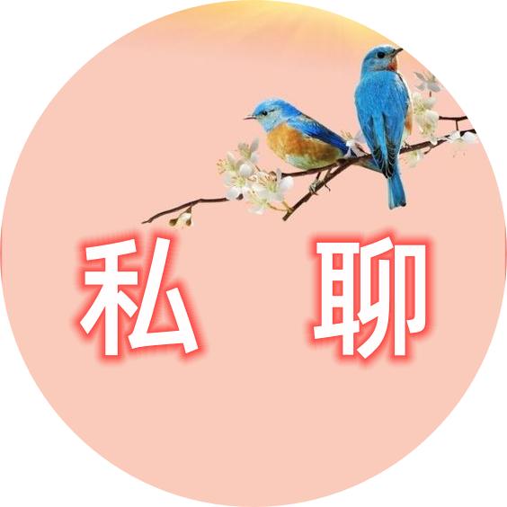 领视频专用号