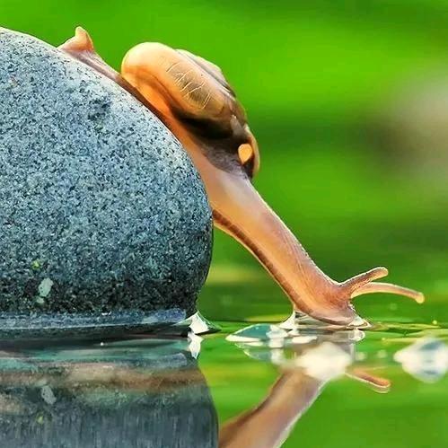 特效【农资店】