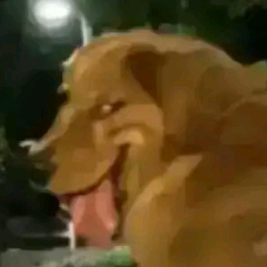我都不知道，