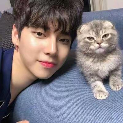 🤩桢天零食屋，