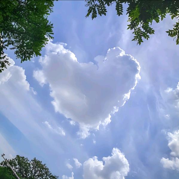 ☁️青云志