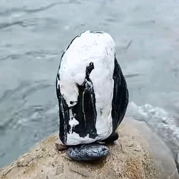 石头屋