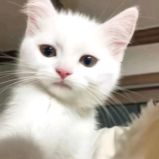 Mia.