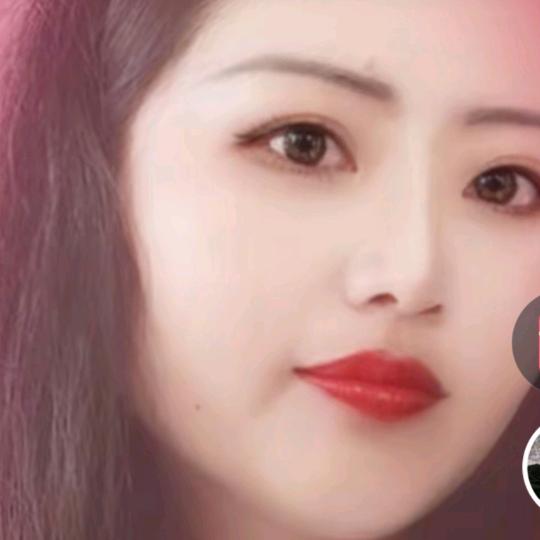 竹丹