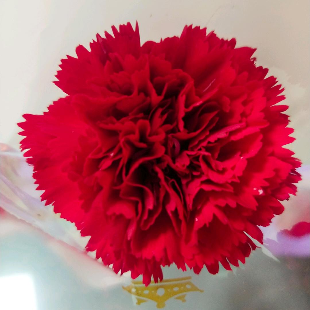 ℳৡﺴ♡̶上上签℘ℳ