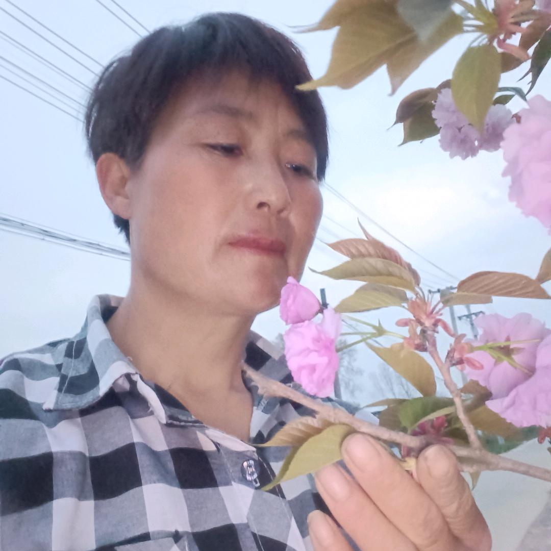 留庄香米卖米兰子