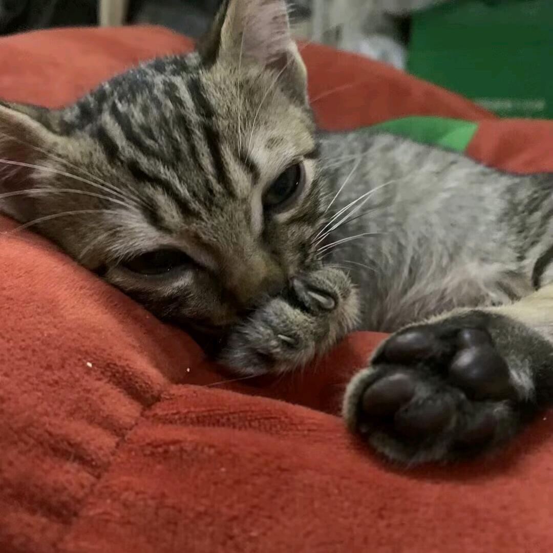 喜欢冬天😶‍🌫️